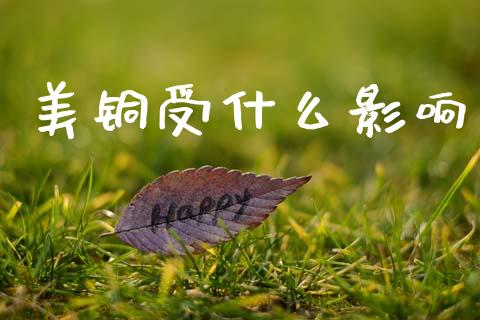 美铜受什么影响_https://wap.lcjysmgs.com_元宇宙_第1张