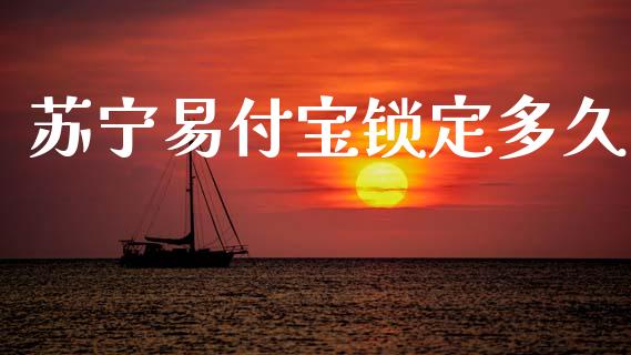 苏宁易付宝锁定多久_https://wap.lcjysmgs.com_元宇宙_第1张