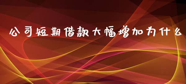 公司短期借款大幅增加为什么_https://wap.lcjysmgs.com_原油期货_第1张