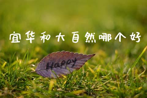 宜华和大自然哪个好_https://wap.lcjysmgs.com_元宇宙_第1张