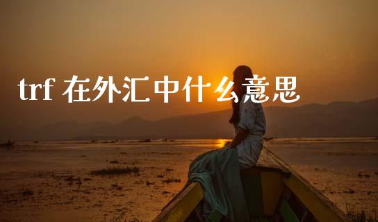 trf 在外汇中什么意思_https://wap.lcjysmgs.com_原油期货_第1张