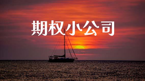 期权小公司_https://wap.lcjysmgs.com_原油期货_第1张