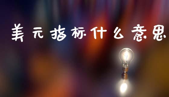 美元指标什么意思_https://wap.lcjysmgs.com_债券基金_第1张