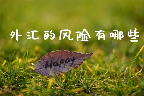 外汇的风险有哪些_https://wap.lcjysmgs.com_原油期货_第1张