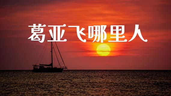 葛亚飞哪里人_https://wap.lcjysmgs.com_原油期货_第1张