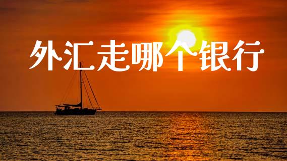 外汇走哪个银行_https://wap.lcjysmgs.com_原油期货_第1张
