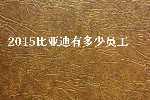 2015比亚迪有多少员工_https://wap.lcjysmgs.com_债券基金_第1张