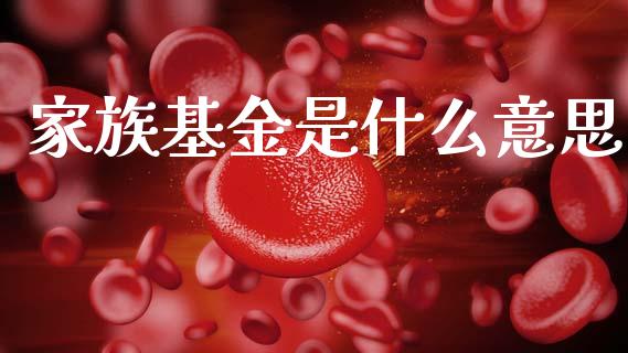 家族基金是什么意思_https://wap.lcjysmgs.com_元宇宙_第1张