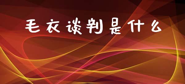 毛衣谈判是什么_https://wap.lcjysmgs.com_债券基金_第1张