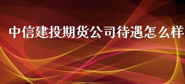 中信建投期货公司待遇怎么样_https://wap.lcjysmgs.com_金融交易_第1张