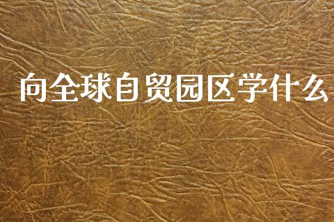 向全球自贸园区学什么_https://wap.lcjysmgs.com_金融交易_第1张