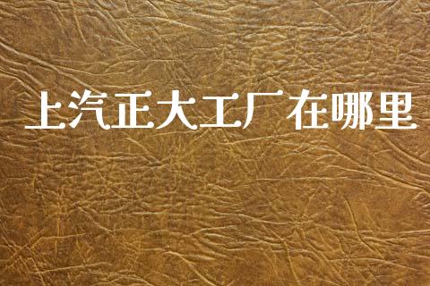 上汽正大工厂在哪里_https://wap.lcjysmgs.com_债券基金_第1张