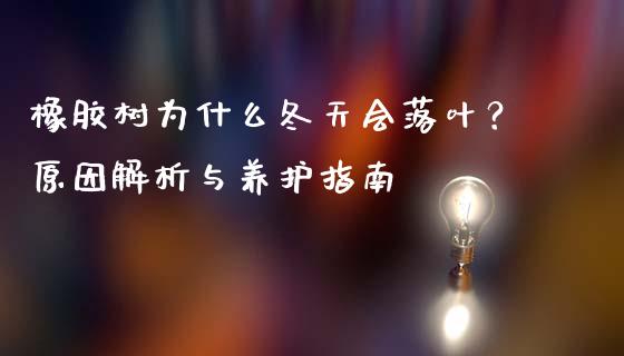 橡胶树为什么冬天会落叶？原因解析与养护指南_https://wap.lcjysmgs.com_原油期货_第1张