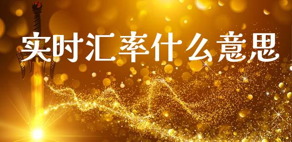 实时汇率什么意思_https://wap.lcjysmgs.com_金融交易_第1张