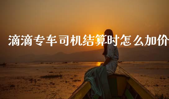 滴滴专车司机结算时怎么加价_https://wap.lcjysmgs.com_元宇宙_第1张