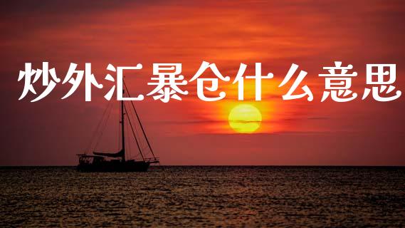 炒外汇暴仓什么意思_https://wap.lcjysmgs.com_债券基金_第1张