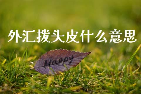 外汇拨头皮什么意思_https://wap.lcjysmgs.com_元宇宙_第1张