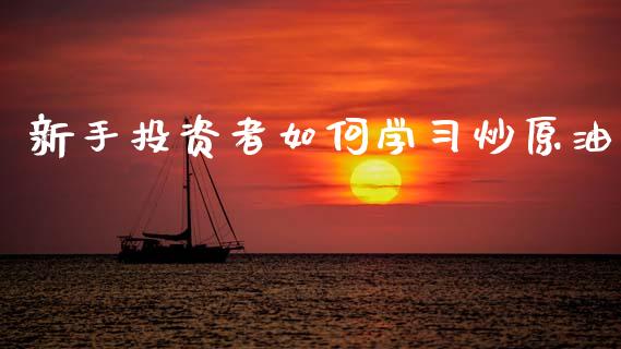 新手投资者如何学习炒原油_https://wap.lcjysmgs.com_金融交易_第1张