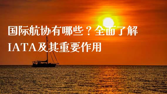 国际航协有哪些?全面了解IATA及其重要作用_债券基金_第1张_金融交易_元宇宙_原油期货_债券基金 国际航协有哪些?全面了解IATA及其重要作用_https://wap.lcjysmgs.com_债券基金_第1张