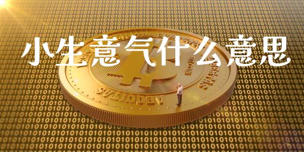 小生意气什么意思_https://wap.lcjysmgs.com_债券基金_第1张
