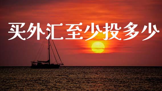 买外汇至少投多少_https://wap.lcjysmgs.com_原油期货_第1张