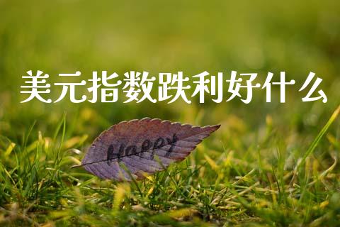 美元指数跌利好什么_https://wap.lcjysmgs.com_金融交易_第1张
