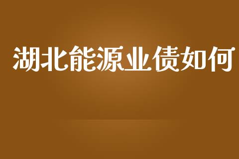 湖北能源业债如何_https://wap.lcjysmgs.com_元宇宙_第1张