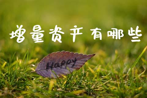增量资产有哪些_https://wap.lcjysmgs.com_原油期货_第1张