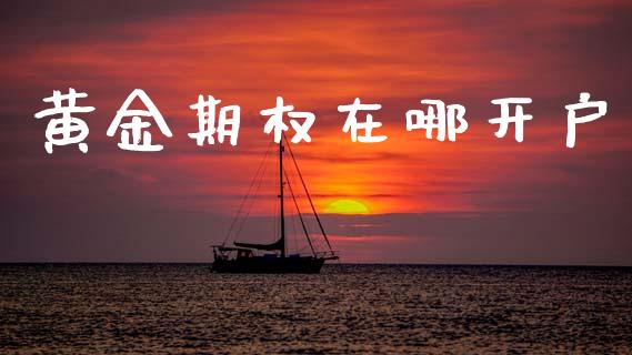 黄金期权在哪开户_https://wap.lcjysmgs.com_元宇宙_第1张