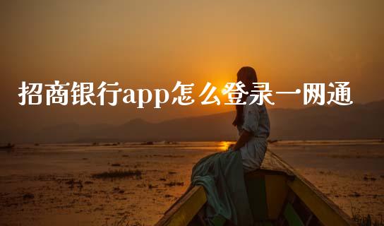 招商银行app怎么登录一网通_https://wap.lcjysmgs.com_原油期货_第1张