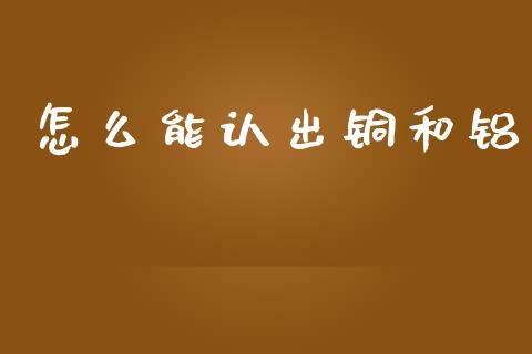 怎么能认出铜和铝_https://wap.lcjysmgs.com_债券基金_第1张