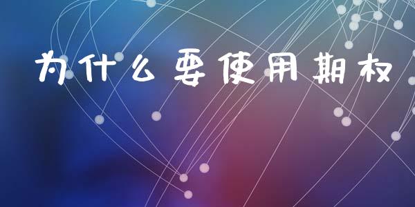 为什么要使用期权_https://wap.lcjysmgs.com_债券基金_第1张