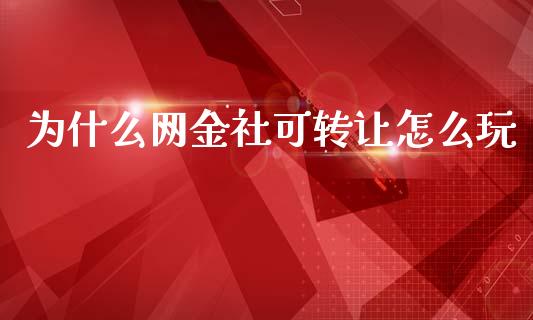 为什么网金社可转让怎么玩_https://wap.lcjysmgs.com_债券基金_第1张