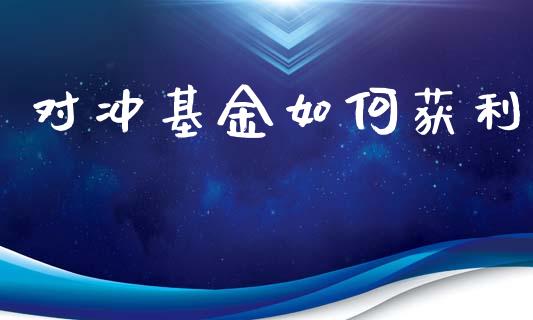 对冲基金如何获利_https://wap.lcjysmgs.com_元宇宙_第1张