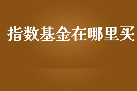 指数基金在哪里买_https://wap.lcjysmgs.com_金融交易_第1张