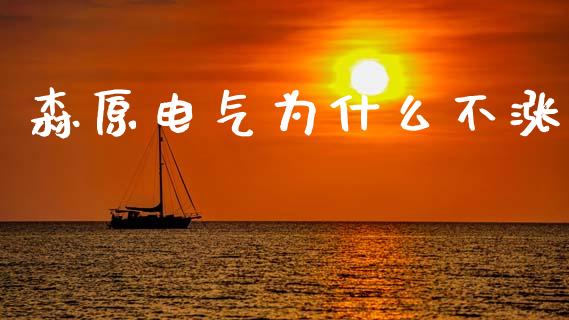 森原电气为什么不涨_https://wap.lcjysmgs.com_债券基金_第1张