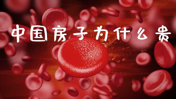 中国房子为什么贵_https://wap.lcjysmgs.com_金融交易_第1张