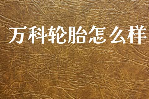 万科轮胎怎么样_https://wap.lcjysmgs.com_元宇宙_第1张