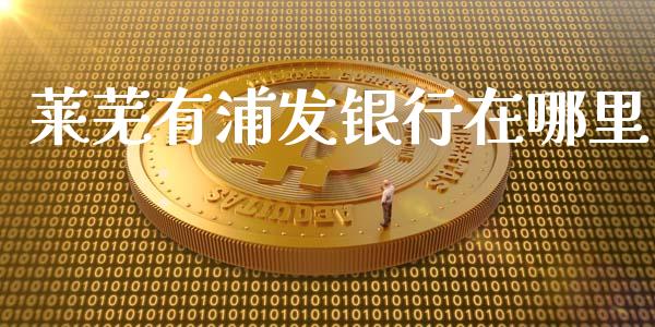 莱芜有浦发银行在哪里_https://wap.lcjysmgs.com_债券基金_第1张