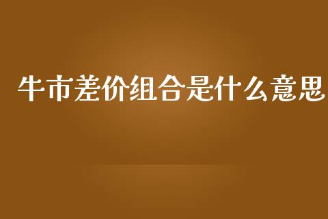 牛市差价组合是什么意思_https://wap.lcjysmgs.com_元宇宙_第1张