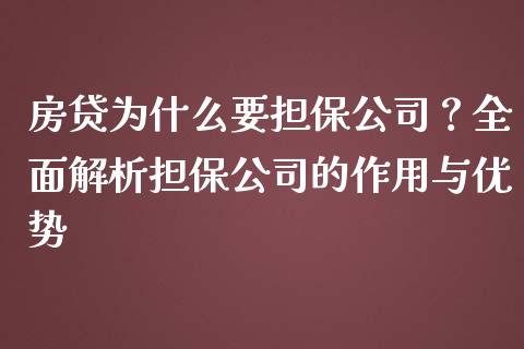 房贷为什么要担保公司？全面解析担保公司的作用与优势_https://wap.lcjysmgs.com_原油期货_第1张