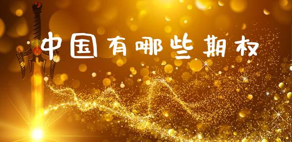 中国有哪些期权_https://wap.lcjysmgs.com_原油期货_第1张
