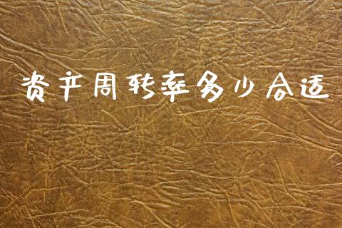 资产周转率多少合适_https://wap.lcjysmgs.com_债券基金_第1张