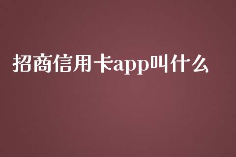 招商信用卡app叫什么_https://wap.lcjysmgs.com_金融交易_第1张