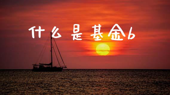 什么是基金b_https://wap.lcjysmgs.com_金融交易_第1张