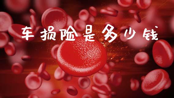 车损险是多少钱_https://wap.lcjysmgs.com_原油期货_第1张
