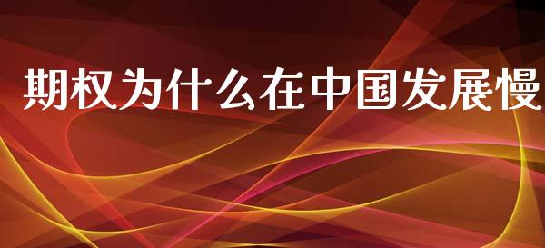 期权为什么在中国发展慢_https://wap.lcjysmgs.com_债券基金_第1张