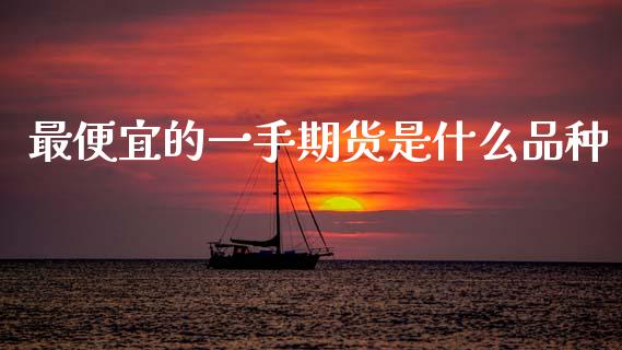 最便宜的一手期货是什么品种_https://wap.lcjysmgs.com_元宇宙_第1张
