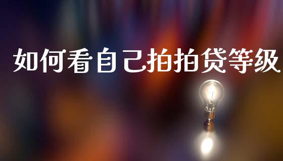 如何看自己拍拍贷等级_https://wap.lcjysmgs.com_原油期货_第1张