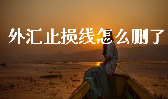外汇止损线怎么删了_https://wap.lcjysmgs.com_原油期货_第1张